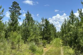 Property for sale in Edgefield County, South Carolina