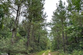 Undeveloped Land for sale in Perry County, Mississippi