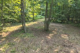 Undeveloped Land for sale in Oakland County, Michigan