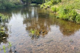 Riverfront Property for sale in Fulton County, Arkansas