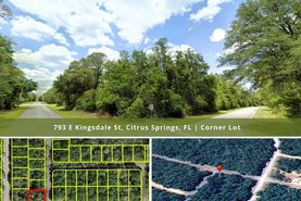 Undeveloped Land for sale in Citrus County, Florida