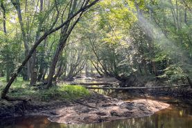 Property for sale in Kershaw County, South Carolina