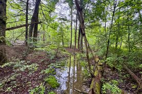 Recreational Property for sale in Morgan County, Tennessee