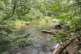 Hunting Land for sale in Venango County, Pennsylvania