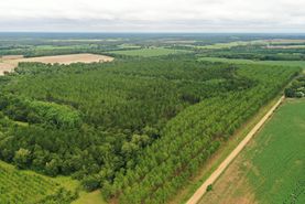 Recreational Property for sale in Turner County, Georgia