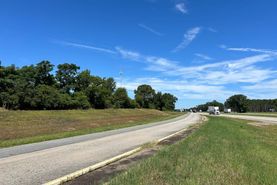 Undeveloped Land for sale in Twiggs County, Georgia