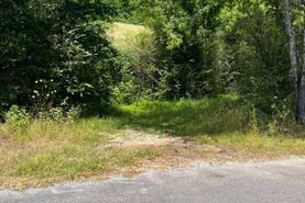 Riverfront Property for sale in Cullman County, Alabama