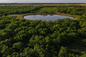 Undeveloped Land for sale in Stephens County, Texas