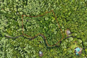 Undeveloped Land for sale in Fannin County, Georgia