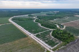 Property for sale in Clinch County, Georgia