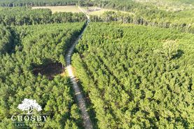 Horse Property for sale in Colleton County, South Carolina