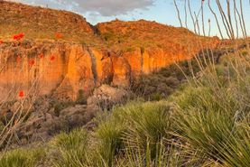 Recreational Property for sale in Presidio County, Texas