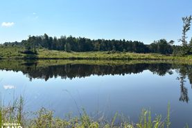 Recreational Property for sale in Leake County, Mississippi