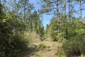 Recreational Property for sale in Holmes County, Florida