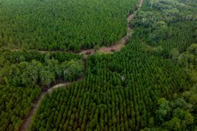 Recreational Property for sale in Toombs County, Georgia