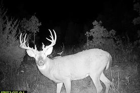 Ranch Property for sale in Ralls County, Missouri