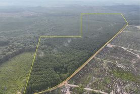 Undeveloped Land for sale in Natchitoches Parish, Louisiana