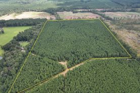 Undeveloped Land for sale in Natchitoches Parish, Louisiana