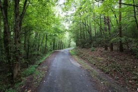 Property for sale in Gilmer County, Georgia