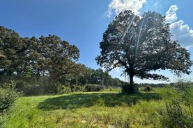 Recreational Property for sale in Escambia County, Alabama