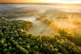 Property for sale in Itawamba County, Mississippi