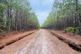 Timberland Property for sale in Wayne County, Georgia
