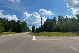 Undeveloped Land for sale in Bibb County, Alabama