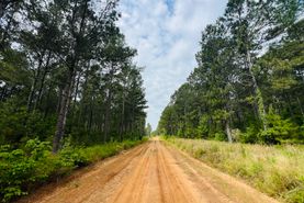 Recreational Property for sale in Dooly County, Georgia