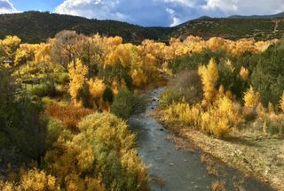 Riverfront Property for sale in Rio Arriba County, New Mexico
