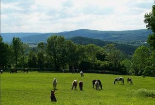 Riverfront Property for sale in Otsego County, New York