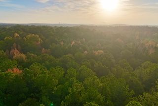 Undeveloped Land for sale in Talbot County, Georgia