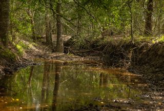 Property for sale in Lee County, Texas