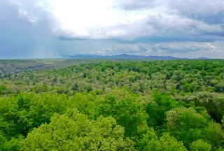 Undeveloped Land for sale in Morgan County, Tennessee