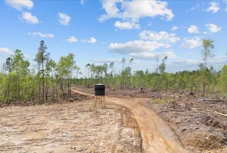 Undeveloped Land for sale in Benton County, Tennessee