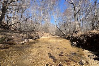 Hunting Land for sale in Cleburne County, Alabama