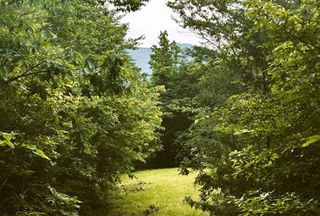 Undeveloped Land for sale in McMinn County, Tennessee