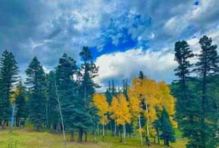 Ranch Property for sale in Colfax County, New Mexico