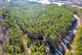 Recreational Property for sale in Union County, Mississippi