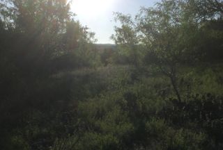 Undeveloped Land for sale in Stephens County, Texas