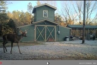 Property for sale in Marshall County, Mississippi
