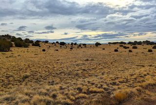 Property for sale in Apache County, Arizona