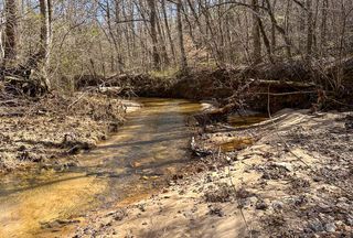 Property for sale in Randolph County, Alabama