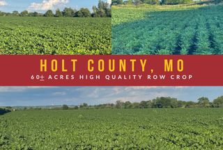 Undeveloped Land for sale in Holt County, Missouri