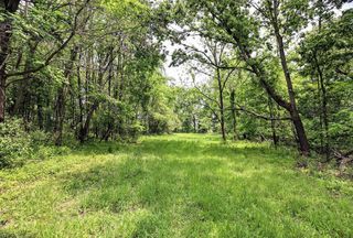 Undeveloped Land for sale in Allegan County, Michigan