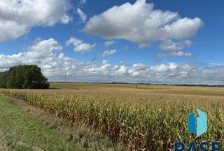 Undeveloped Land for sale in Codington County, South Dakota