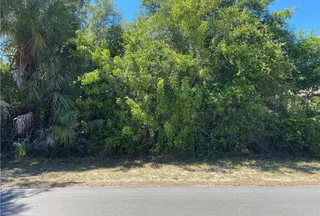 Undeveloped Land for sale in Citrus County, Florida