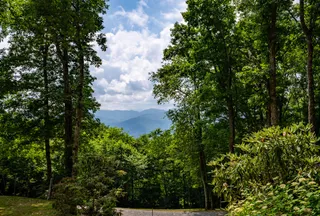Undeveloped Land for sale in Jackson County, North Carolina