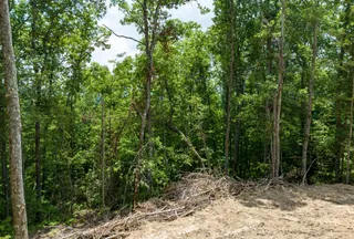 Undeveloped Land for sale in Jackson County, North Carolina