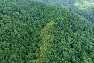 Undeveloped Land for sale in Jackson County, North Carolina