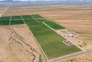 Ranch Property for sale in Mohave County, Arizona